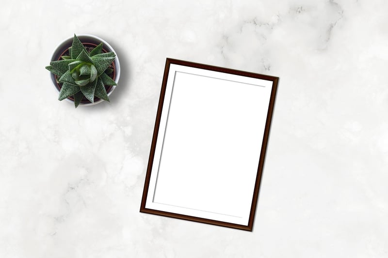 Succulent frames
