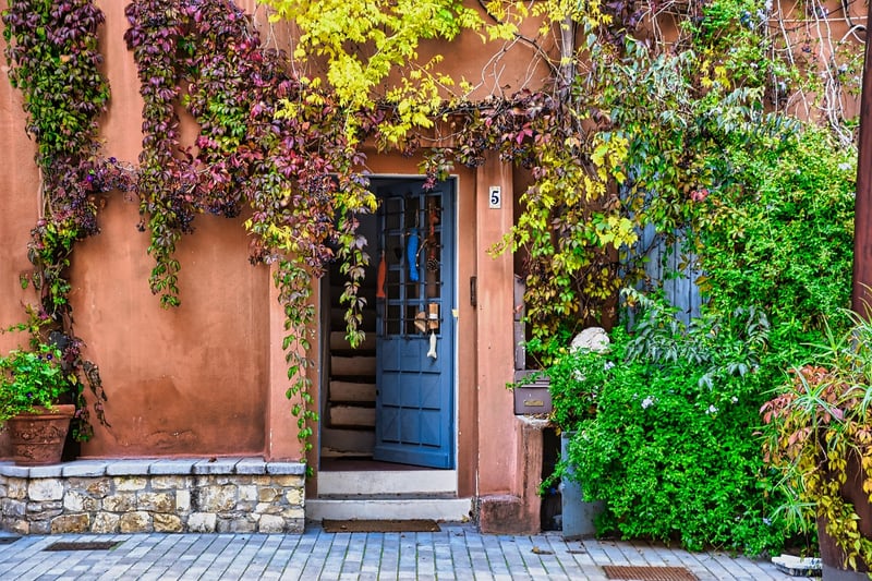 Vertical garden